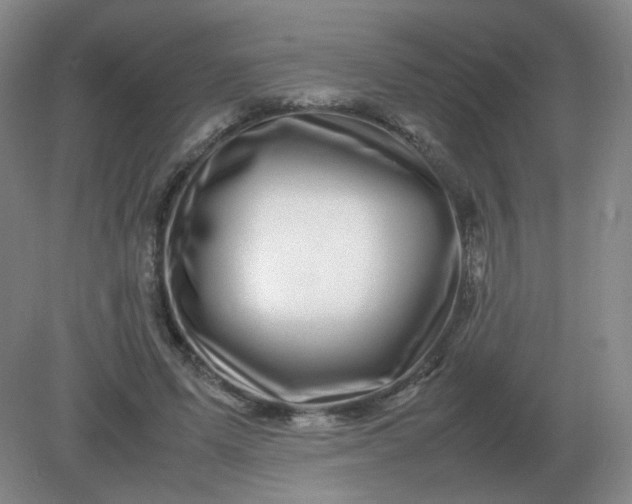 X0000082200591200702021846