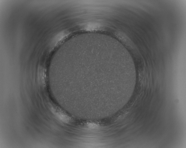 X0000082200592200702021846