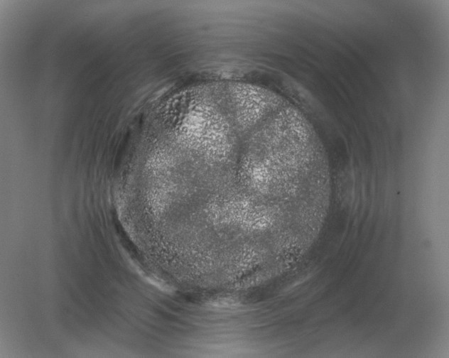 X0000082200594200702021846