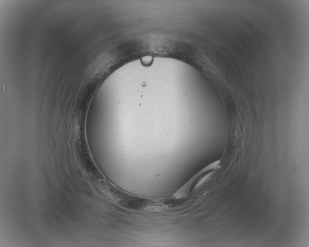 X0000082200595200702021846