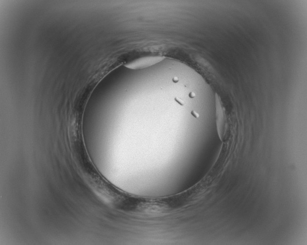 X0000082200597200702021846