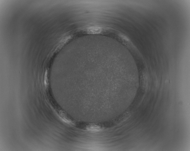 X0000082200598200702021846