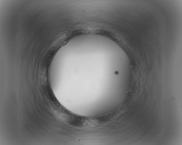 X0000082200599200702021846