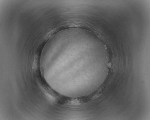 X0000082200600200702021846