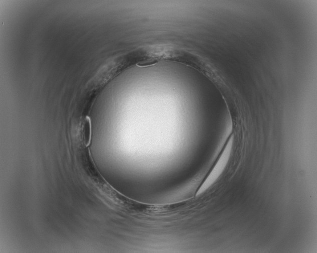 X0000082200601200702021846