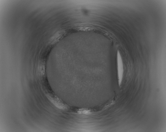 X0000082200602200702021846