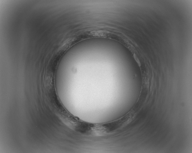 X0000082200603200702021846