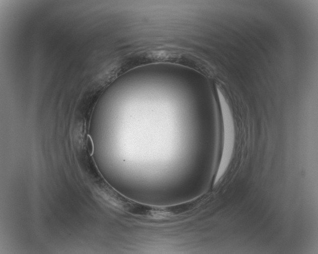 X0000082200605200702021846