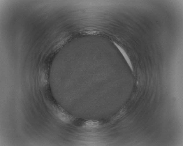 X0000082200606200702021846