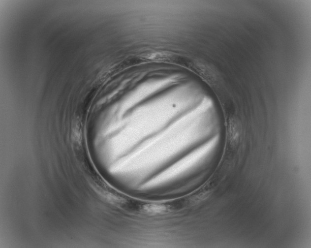 X0000082200607200702021846