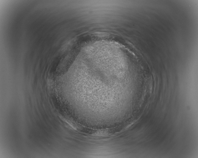 X0000082200609200702021846