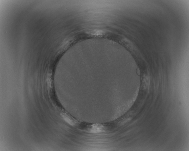 X0000082200612200702021846