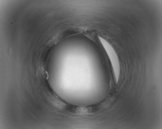 X0000082200613200702021846