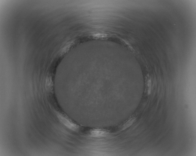 X0000082200614200702021846