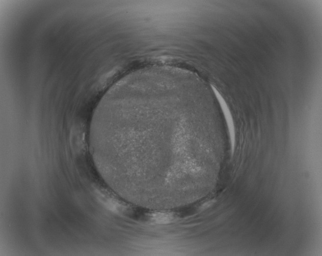 X0000082200615200702021846