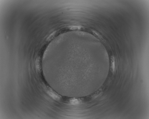 X0000082200616200702021846