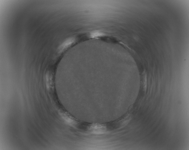 X0000082200619200702021846