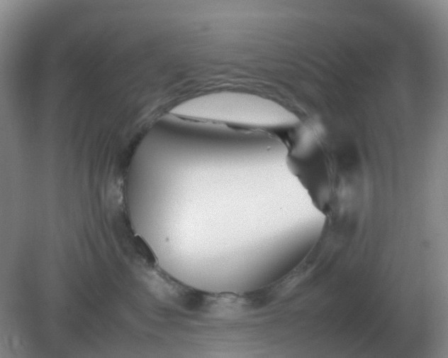 X0000082200621200702021846