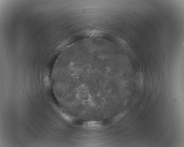 X0000082200622200702021846