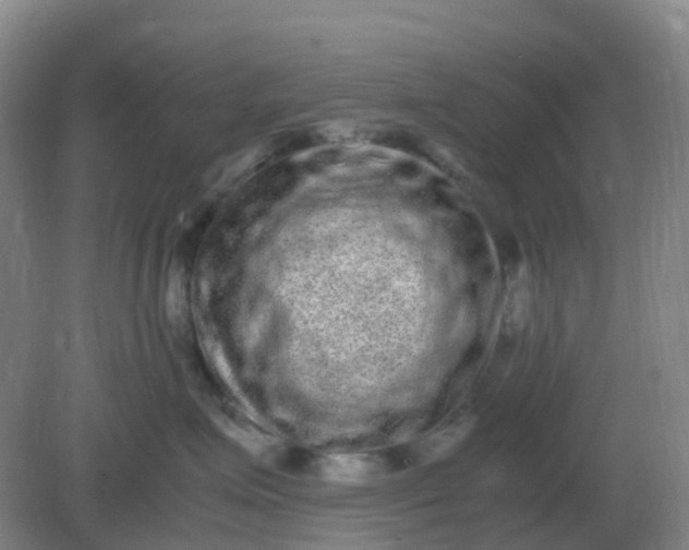 X0000082200623200702021846