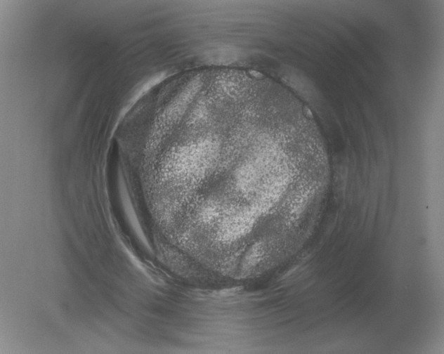 X0000082200626200702021845