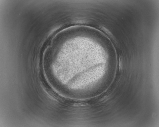 X0000082200627200702021845