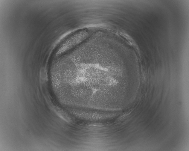 X0000082200628200702021845