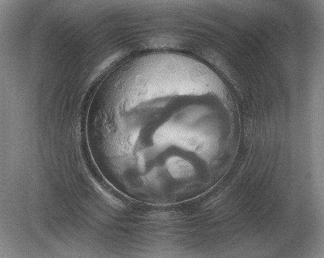 X0000082200629200702021845