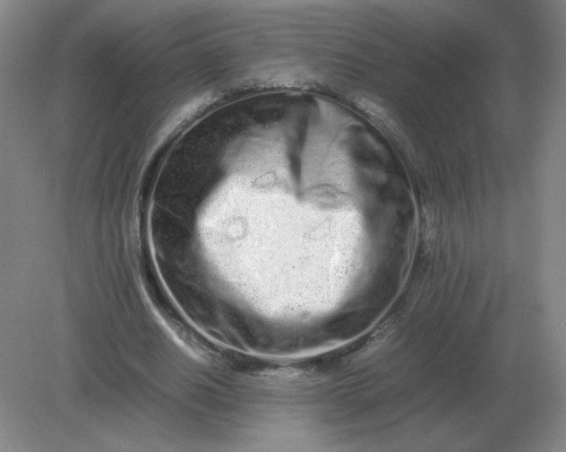 X0000082200630200702021845