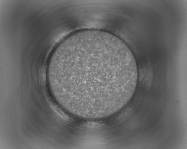 X0000082200632200702021845