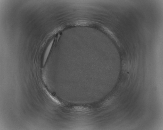 X0000082200633200702021845