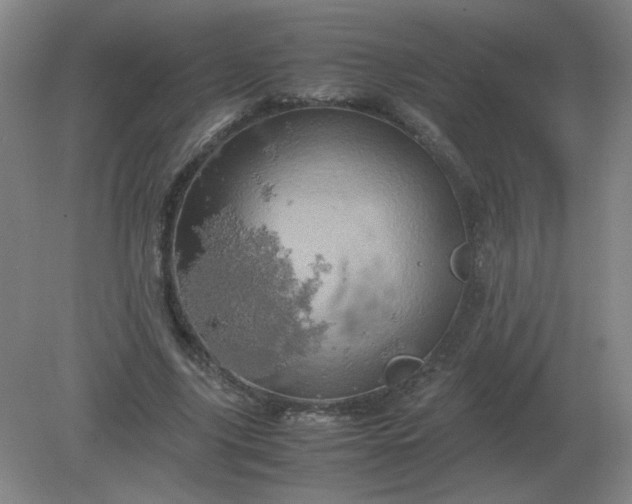 X0000082200635200702021845