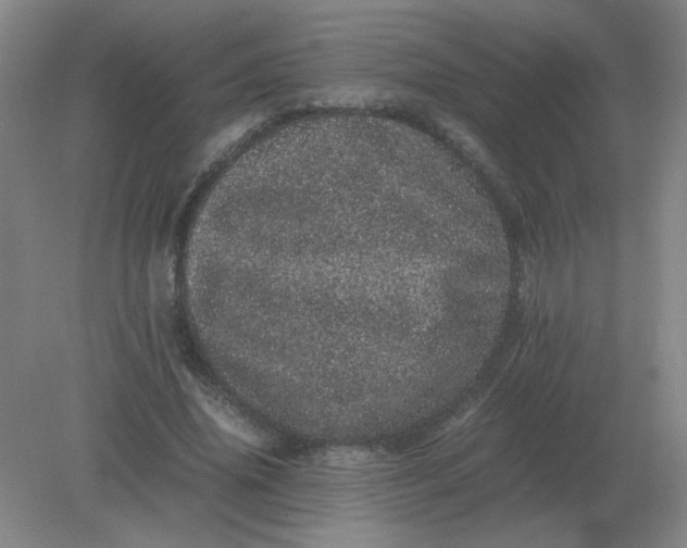 X0000082200636200702021845