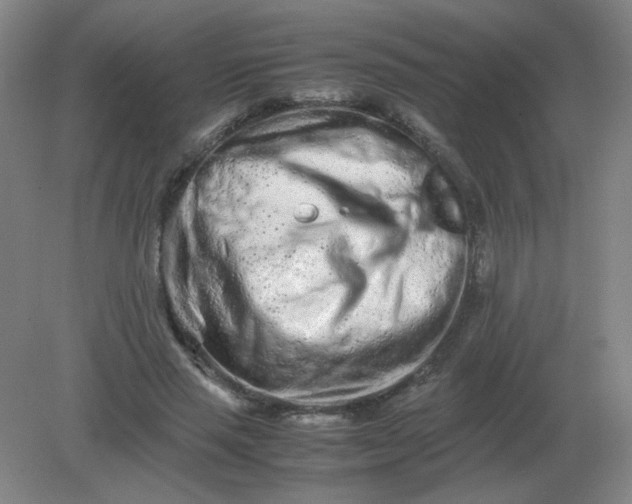 X0000082200637200702021845