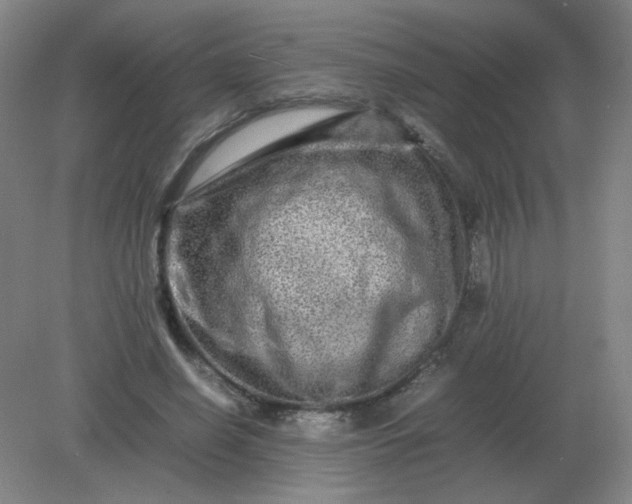 X0000082200638200702021845