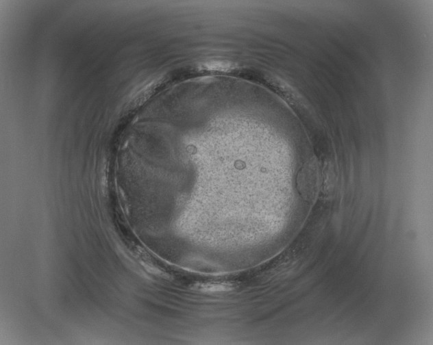 X0000082200639200702021845