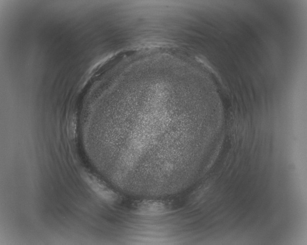 X0000082200640200702021845