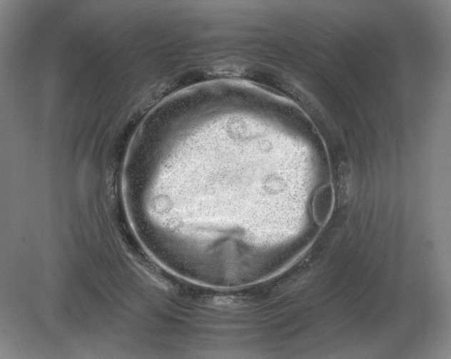 X0000082200641200702021845