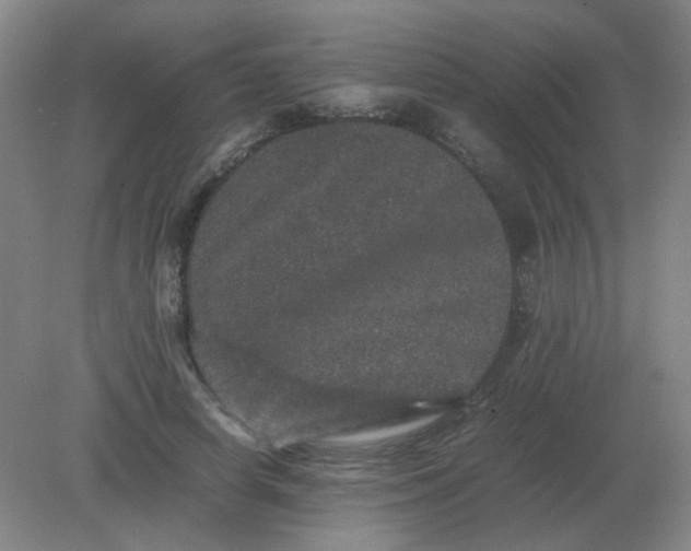 X0000082200642200702021845