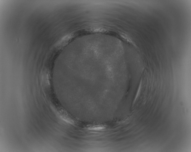 X0000082200643200702021845