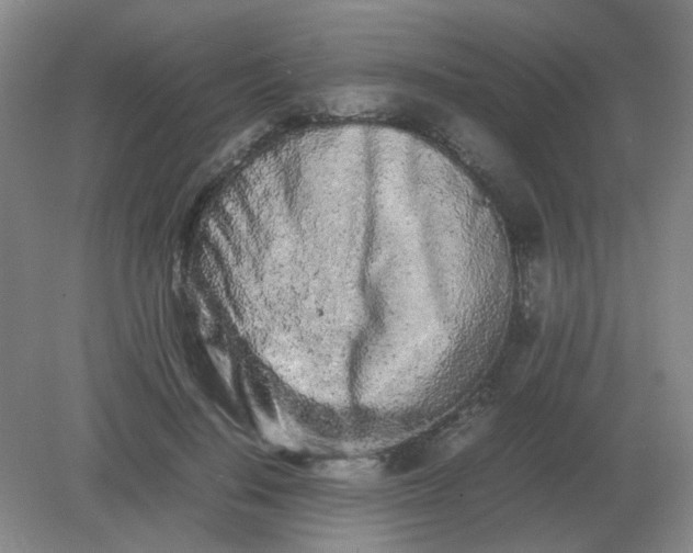 X0000082200644200702021845