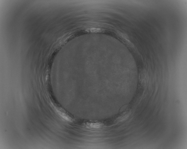 X0000082200645200702021845