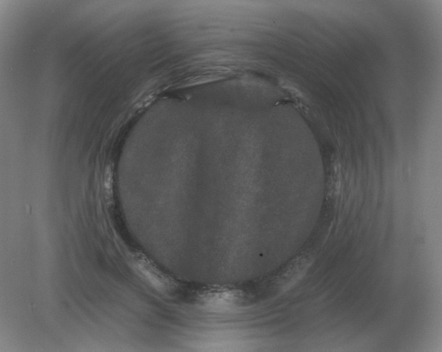 X0000082200646200702021845