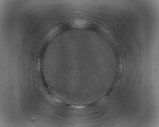 X0000082200647200702021845