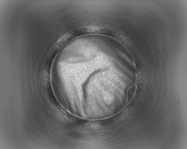 X0000082200648200702021845