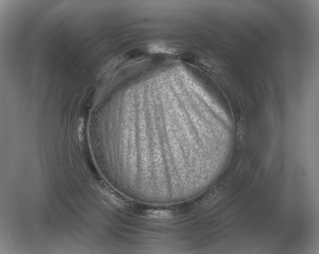 X0000082200649200702021845