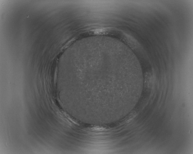 X0000082200650200702021845