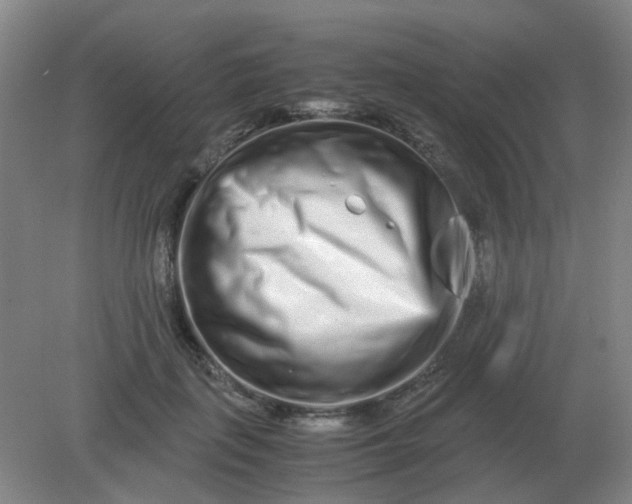 X0000082200651200702021845