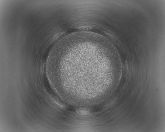 X0000082200652200702021845