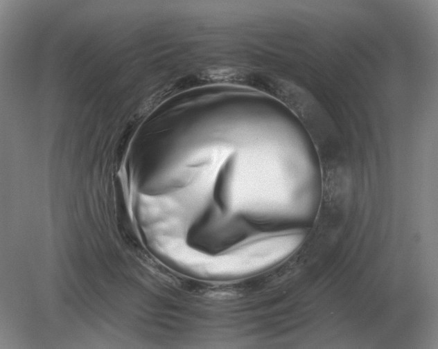 X0000082200653200702021845